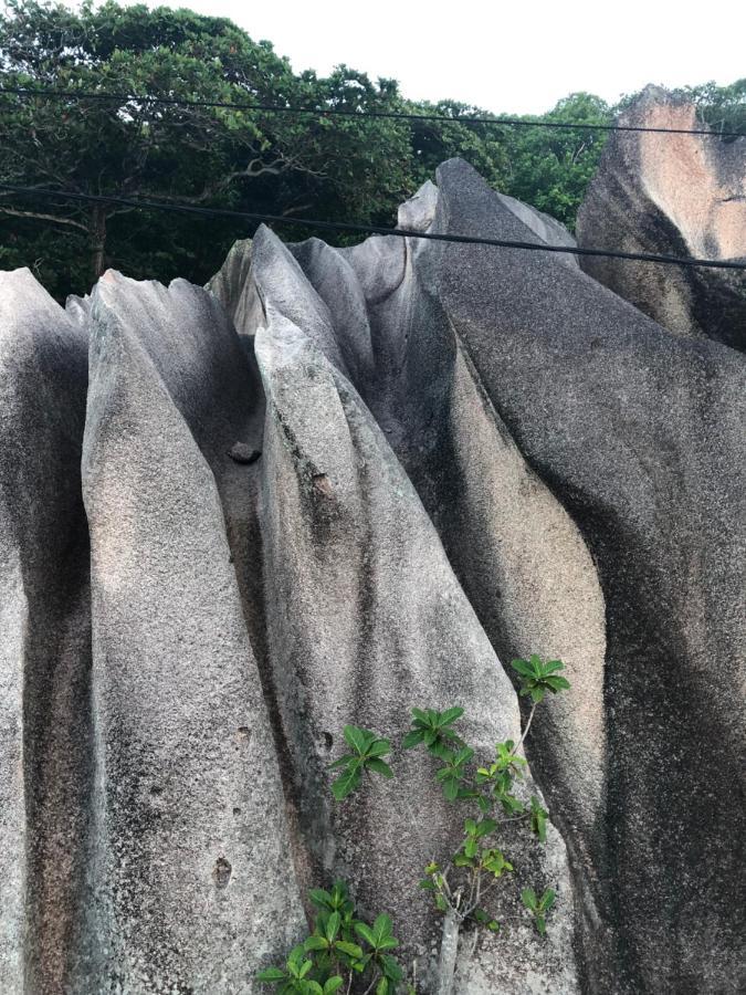 La Belle Digue Don Lägenhet La Digue Exteriör bild